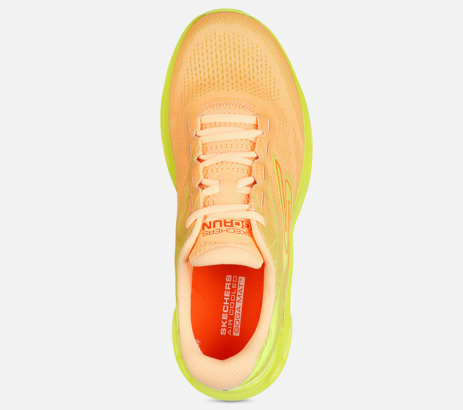 GO RUN Swirl Tech Speed - Ultimate Stride Shoe Skechers